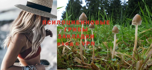 молекула духа Медвежьегорск