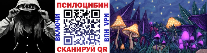 OMG зеркало  продажа наркотиков  Зарайск  Псилоцибиновые грибы Cubensis 